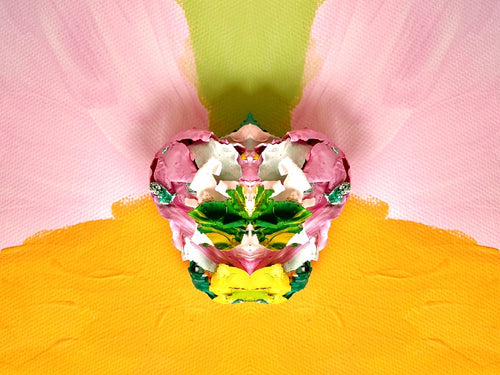 ASSEMINI - AGNES IGNACZ Wall Art SS'20
