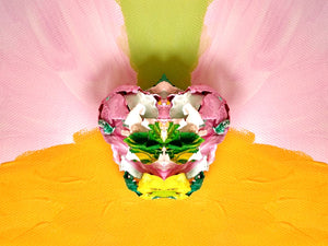 ASSEMINI - AGNES IGNACZ Wall Art SS'20